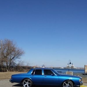 Meet your Posher, Timothy